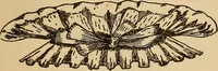 Picture 252 of 399 from Dainty work for pleasure and profit (1893), leaf 231