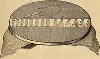 Picture 267 of 399 from Dainty work for pleasure and profit (1893), leaf 241