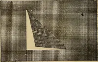 Picture 269 of 399 from Dainty work for pleasure and profit (1893), leaf 242