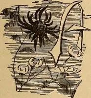 An illustration from Dainty work for pleasure and profit (1893)