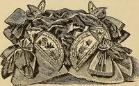 Picture 288 of 399 from Dainty work for pleasure and profit (1893), leaf 286