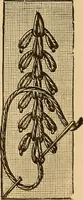 Picture 17 of 399 from Dainty work for pleasure and profit (1893), leaf 29