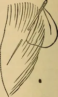 An illustration from Dainty work for pleasure and profit (1893)
