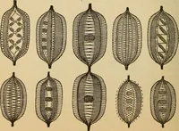 Picture 299 of 399 from Dainty work for pleasure and profit (1893), leaf 306
