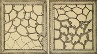 Picture 304 of 399 from Dainty work for pleasure and profit (1893), leaf 312