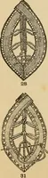 Picture 305 of 399 from Dainty work for pleasure and profit (1893), leaf 312