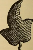 An illustration from Dainty work for pleasure and profit (1893)