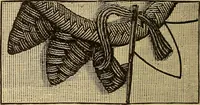 Picture 28 of 399 from Dainty work for pleasure and profit (1893), leaf 34