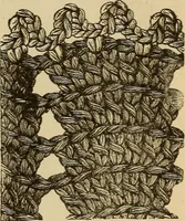 Picture 343 of 399 from Dainty work for pleasure and profit (1893), leaf 358