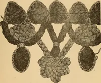 Picture 344 of 399 from Dainty work for pleasure and profit (1893), leaf 359