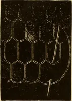 Picture 34 of 399 from Dainty work for pleasure and profit (1893), leaf 40