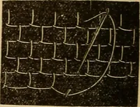 An illustration from Dainty work for pleasure and profit (1893)