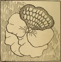 Picture 36 of 399 from Dainty work for pleasure and profit (1893), leaf 40