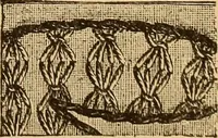An illustration from Dainty work for pleasure and profit (1893)