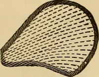 An illustration from Dainty work for pleasure and profit (1893)