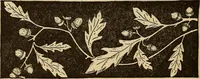 Picture 370 of 399 from Dainty work for pleasure and profit (1893), leaf 430