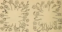 An illustration from Dainty work for pleasure and profit (1893)