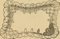 Picture 397 of 399 from Dainty work for pleasure and profit (1893), leaf 452