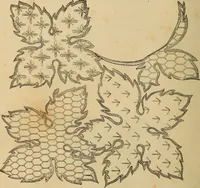 Picture 53 of 399 from Dainty work for pleasure and profit (1893), leaf 52