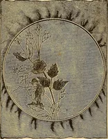 Picture 55 of 399 from Dainty work for pleasure and profit (1893), leaf 54