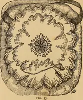 Picture 56 of 399 from Dainty work for pleasure and profit (1893), leaf 55