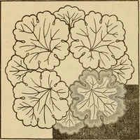 Picture 72 of 399 from Dainty work for pleasure and profit (1893), leaf 78