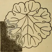 An illustration from Dainty work for pleasure and profit (1893)