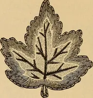 An illustration from Dainty work for pleasure and profit (1893)