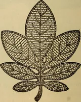 An illustration from Dainty work for pleasure and profit (1893)