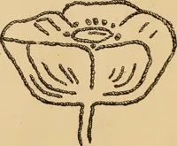 An illustration from Dainty work for pleasure and profit (1893)