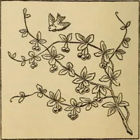 Picture 93 of 399 from Dainty work for pleasure and profit (1893), leaf 96