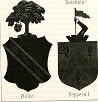 Picture 28 of 83 from Dame heraldry (1886), leaf 267
