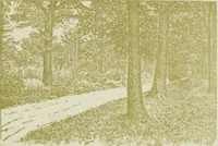 An illustration from Da minha terra: figuras gradas; impressões de arte. Illus. de Roque Gameiro e Santos Silva (1909)