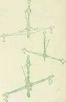 An illustration from Da minha terra: figuras gradas; impressões de arte. Illus. de Roque Gameiro e Santos Silva (1909)