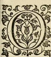 An illustration from Dan. Heinsii Nederduytsche poemata (1616)