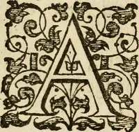An illustration from Dan. Heinsii Nederduytsche poemata (1616)