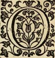 An illustration from Dan. Heinsii Nederduytsche poemata (1616)