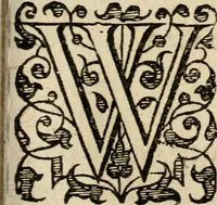 Picture 16 of 73 from Dan. Heinsii Nederduytsche poemata (1616), leaf 48