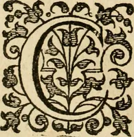 An illustration from Dan. Heinsii Nederduytsche poemata (1616)