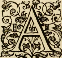 An illustration from Dan. Heinsii Nederduytsche poemata (1616)