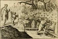 An illustration from Dan. Heinsii Nederduytsche poemata (1616)