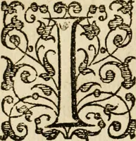 An illustration from Dan. Heinsii Nederduytsche poemata (1616)