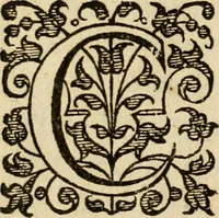 An illustration from Dan. Heinsii Nederduytsche poemata (1616)