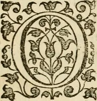 An illustration from Dan. Heinsii Nederduytsche poemata (1616)