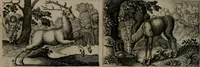 Picture 51 of 74 from Dan. Heinsii Nederduytsche poemata (1618), leaf 113