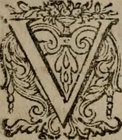 Picture 12 of 74 from Dan. Heinsii Nederduytsche poemata (1618), leaf 41