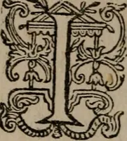 An illustration from Dan. Heinsii Nederduytsche poemata (1618)