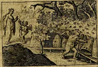 An illustration from Dan. Heinsii Nederduytsche poemata ; by een vergadert en uytgegeven door P. S (1618)