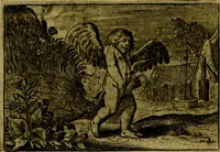 Picture 28 of 73 from Dan. Heinsii Nederduytsche poemata ; by een vergadert en uytgegeven door P. S (1618), leaf 77