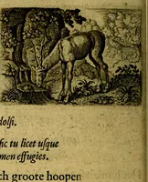 Picture 47 of 73 from Dan. Heinsii Nederduytsche poemata ; by een vergadert en uytgegeven door P. S (1618), leaf 89